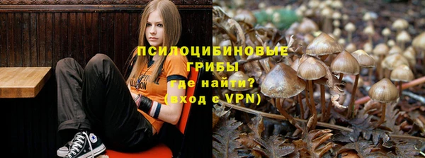ПСИЛОЦИБИНОВЫЕ ГРИБЫ Алексин