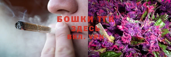ПСИЛОЦИБИНОВЫЕ ГРИБЫ Алексин