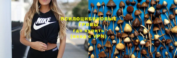 ПСИЛОЦИБИНОВЫЕ ГРИБЫ Алексин
