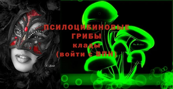 ПСИЛОЦИБИНОВЫЕ ГРИБЫ Алексин