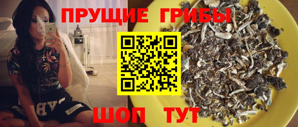Касимов  Псилоцибиновые грибы Cubensis  Вход с VPN  Галлюциногенные грибы Psilocybe 